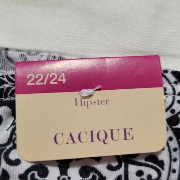 Cacique Lane Bryant Panties Plus Size Brand New Hipster Size 22/24 - Picture 4 of 4